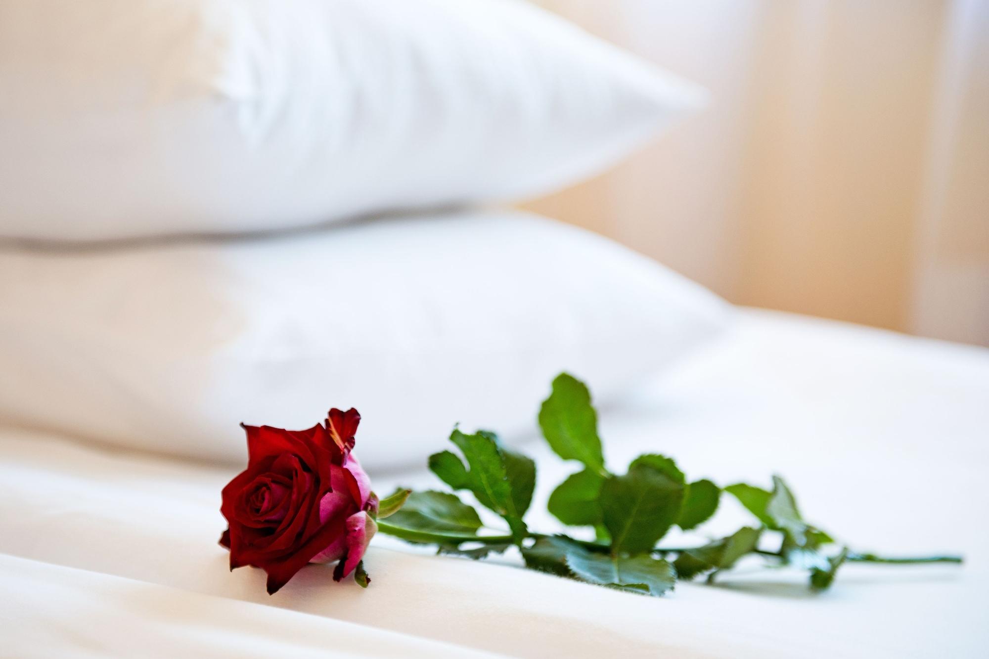 Best Baltic Hotel Palanga Ngoại thất bức ảnh